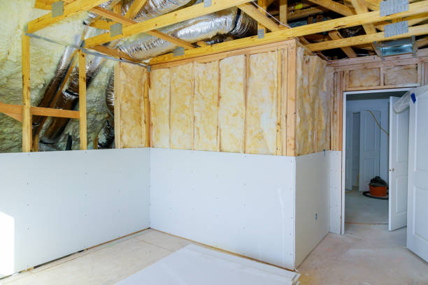 Types of Insulation We Offer in Mercedes, TX