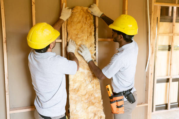 Trusted Mercedes, TX Insulation Installation & Removal Experts